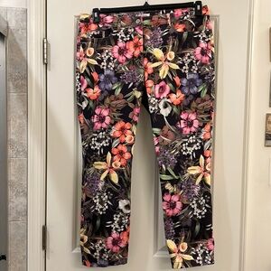 Designers ladies pants